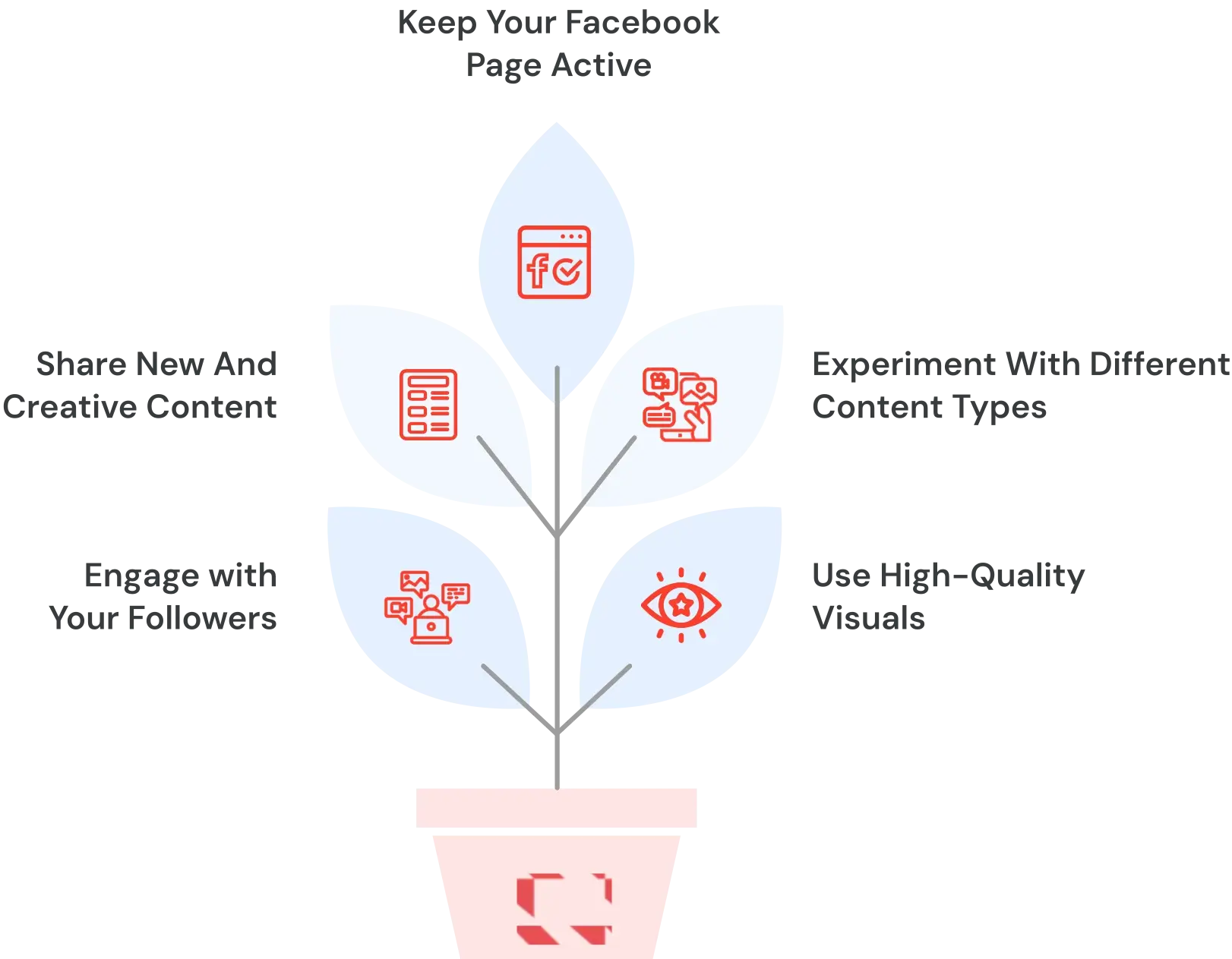 Best Organic Strategies To Grow On Facebook